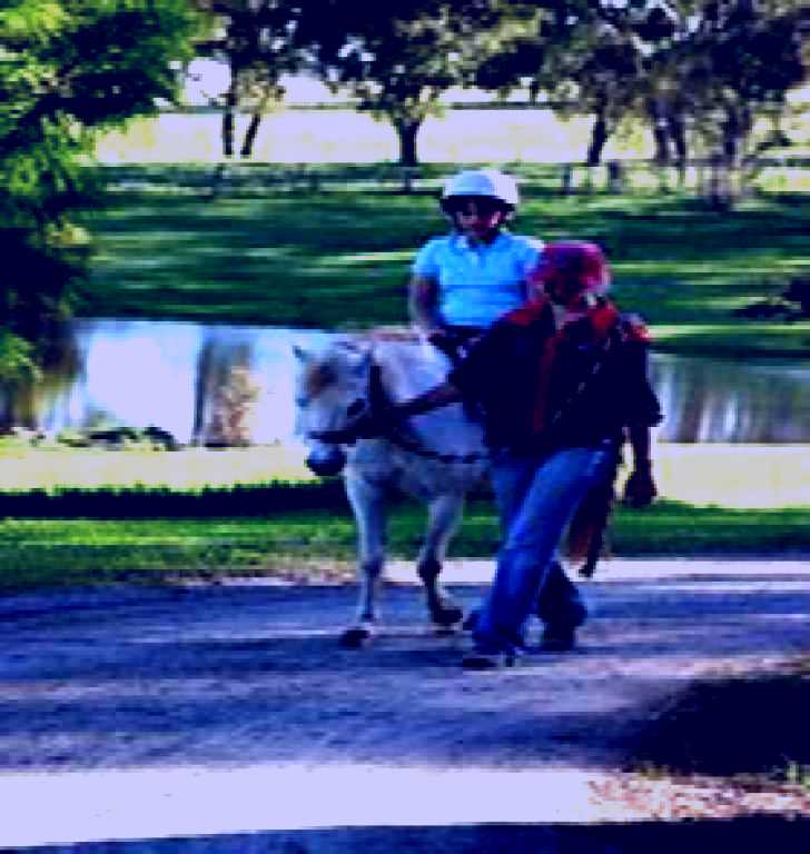 SubjectCoach | Four Oaks Farm & Ponies Love Parties