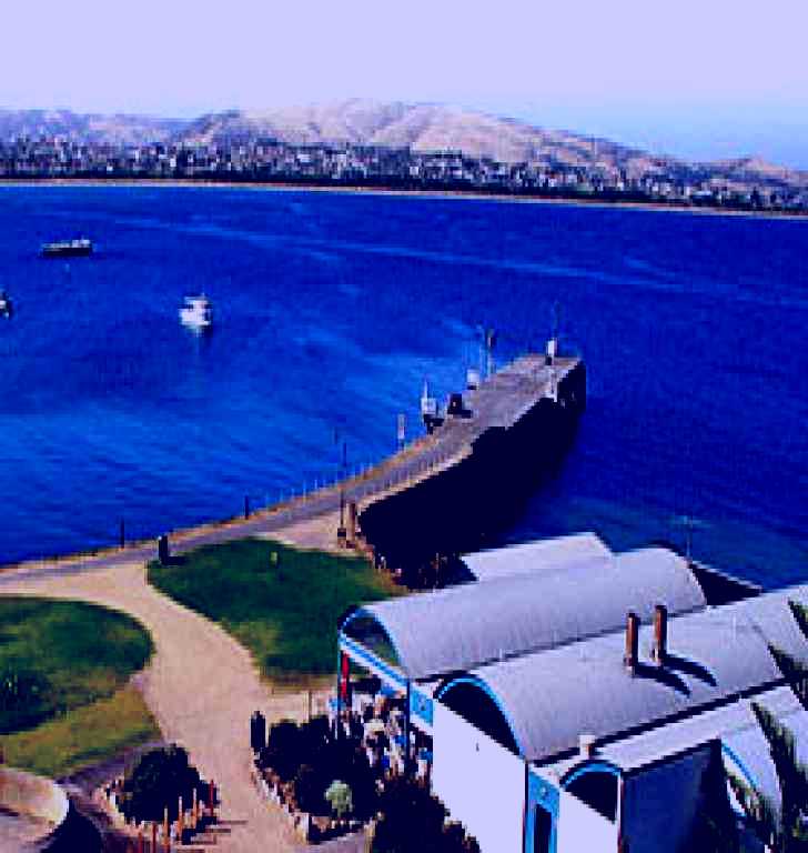 SubjectCoach | Granite Island Nature Park - Guided Penguin Tours