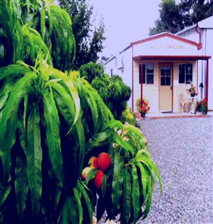 SubjectCoach | Gully Gardens