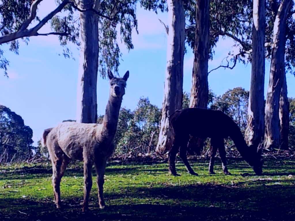 SubjectCoach | Hahndorf Creek Day Spa