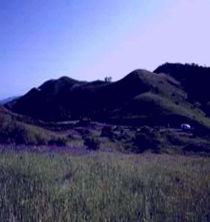 SubjectCoach | Hancocks Lookout