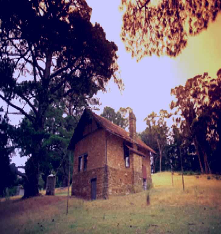 SubjectCoach | Heysen - The Cedars