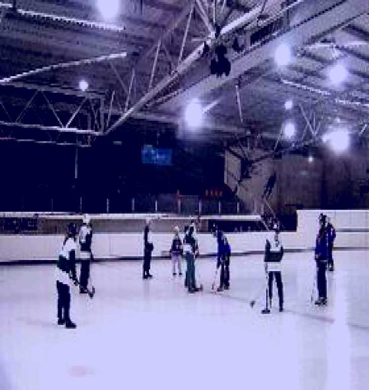 SubjectCoach | Ice Arena