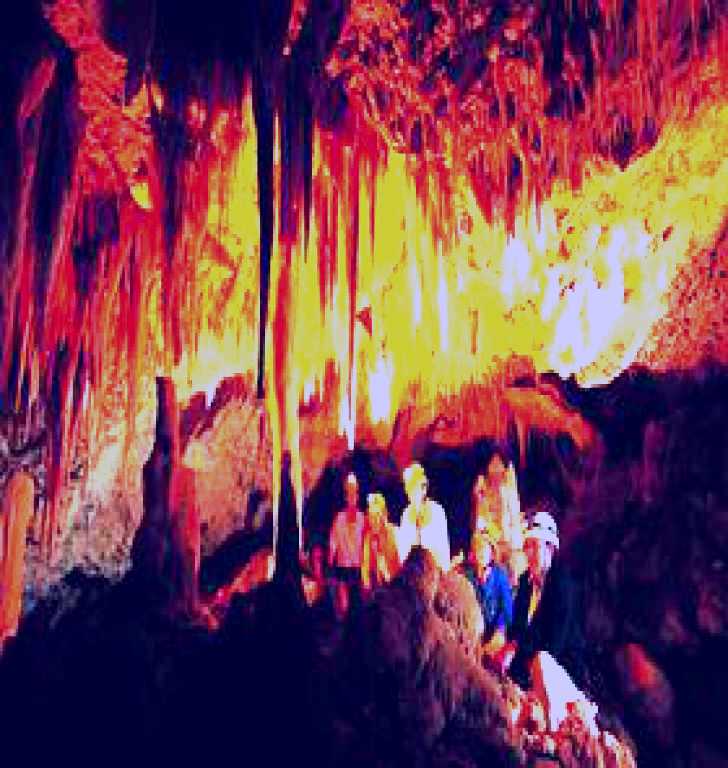 SubjectCoach | Kelly Hill Caves and Conservation Park