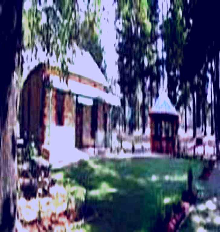 SubjectCoach | Kuitpo Forest