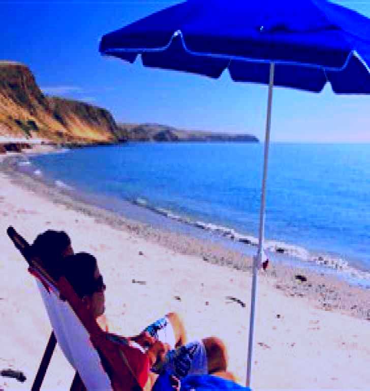 SubjectCoach | Lady Bay Beach