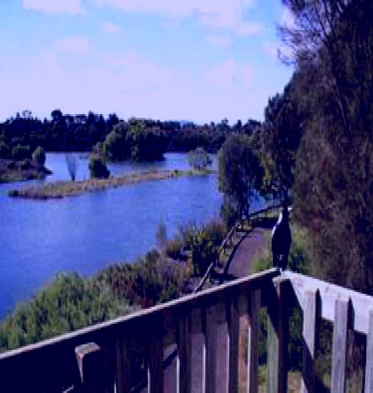 SubjectCoach | Lake McIntyre