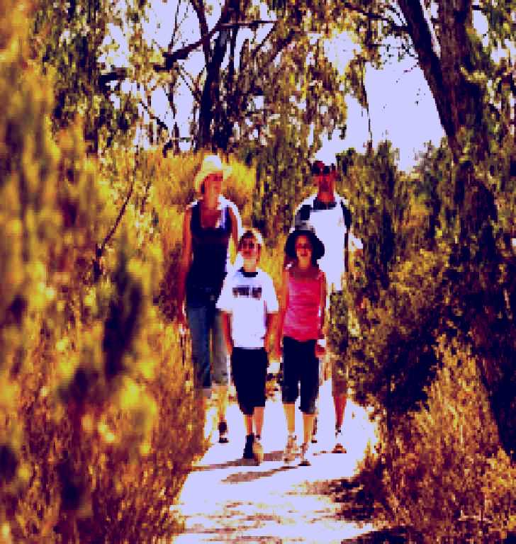 SubjectCoach | Lavande of Callington