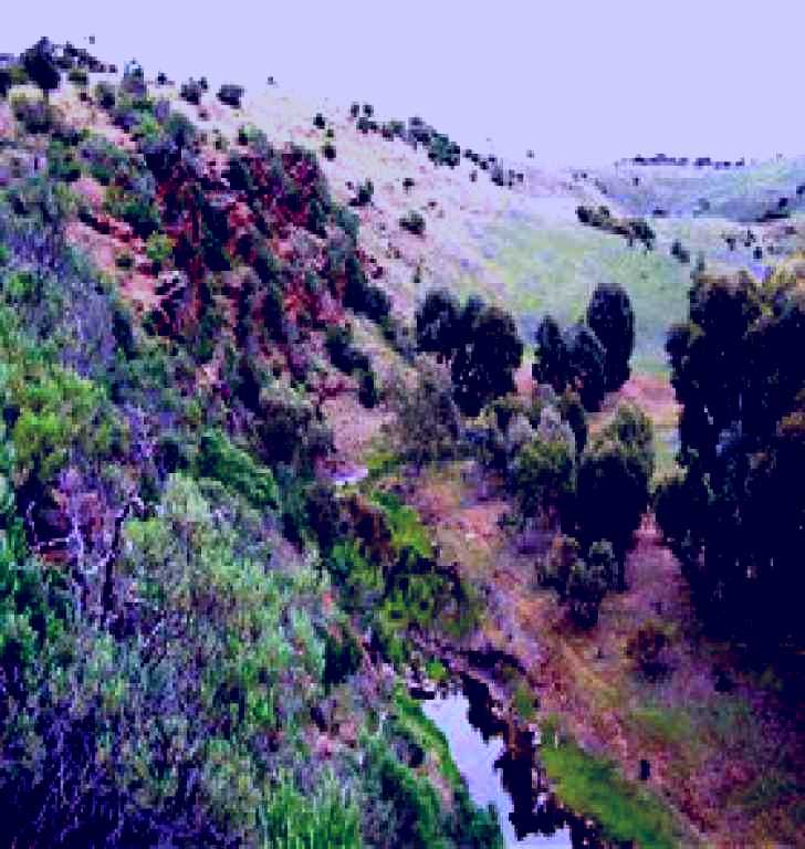 SubjectCoach | Lavender Federation Trail