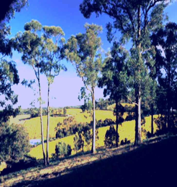 SubjectCoach | Lobethal Archives And Historical Museum