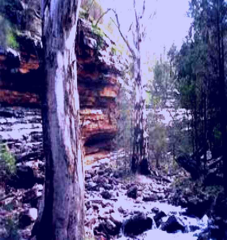 SubjectCoach | Mount Remarkable National Park