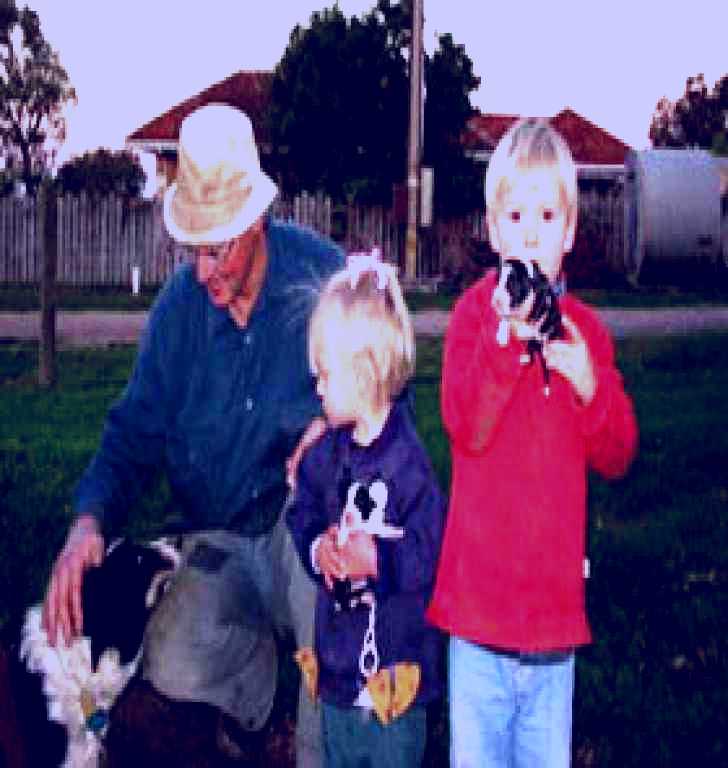 SubjectCoach | Orrie Cowie Merino and Poll Merino Stud