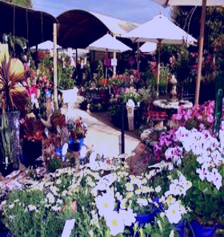 SubjectCoach | Serenity Nursery