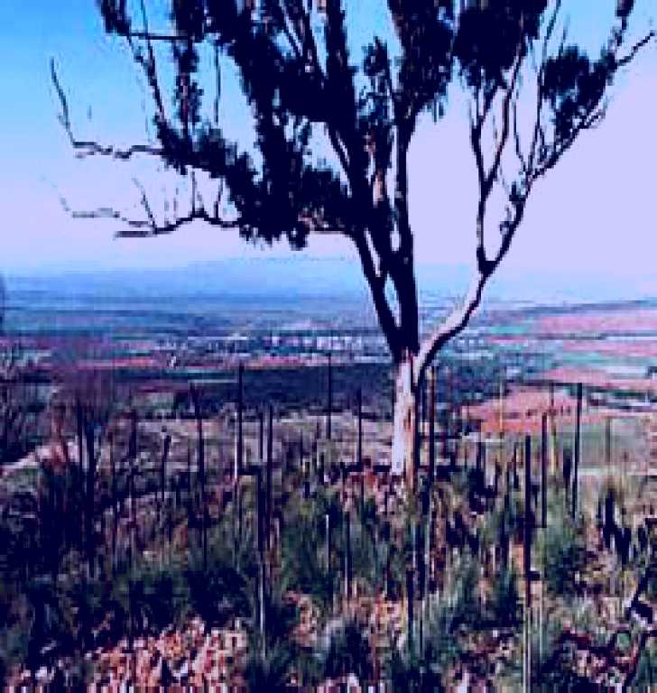 SubjectCoach | The Dutchmans Stern Conservation Park