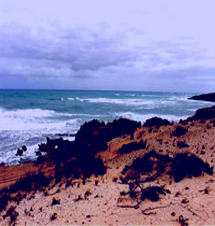 SubjectCoach | The Seaview Walking Trail