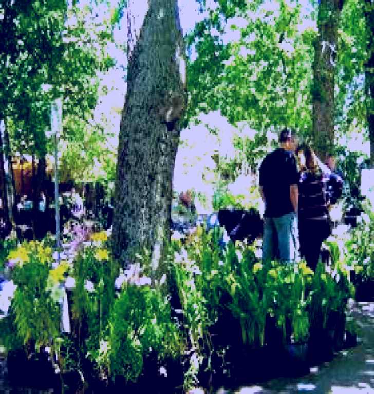 SubjectCoach | The Stirling Market