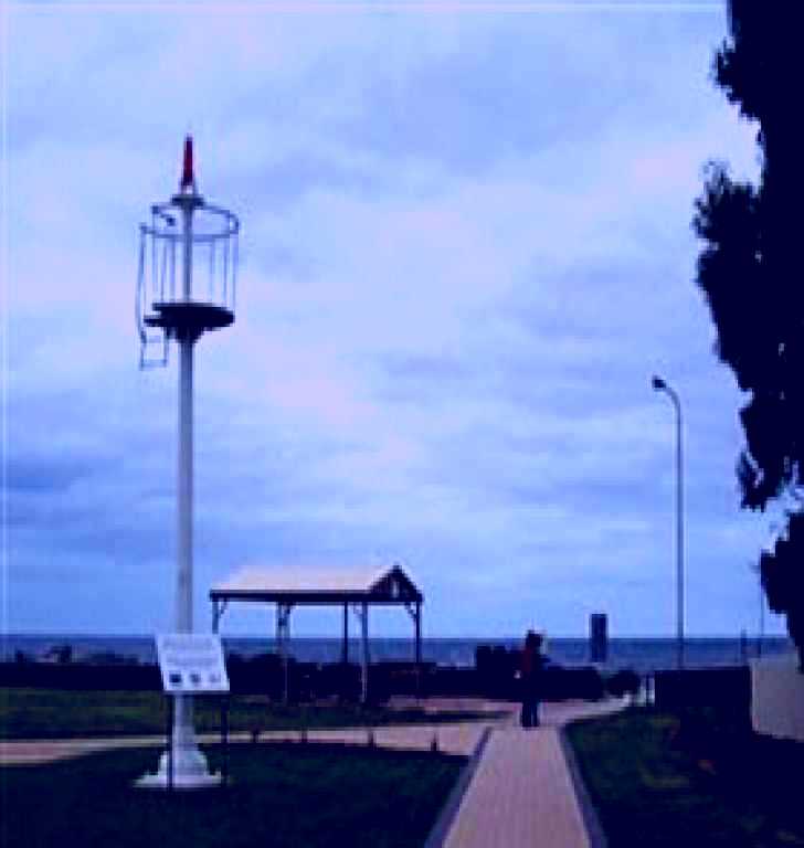 SubjectCoach | Turnbull Park, Centenary Park and Foreshore