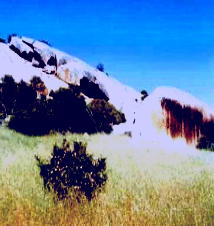 SubjectCoach | Ucontitchie Hill