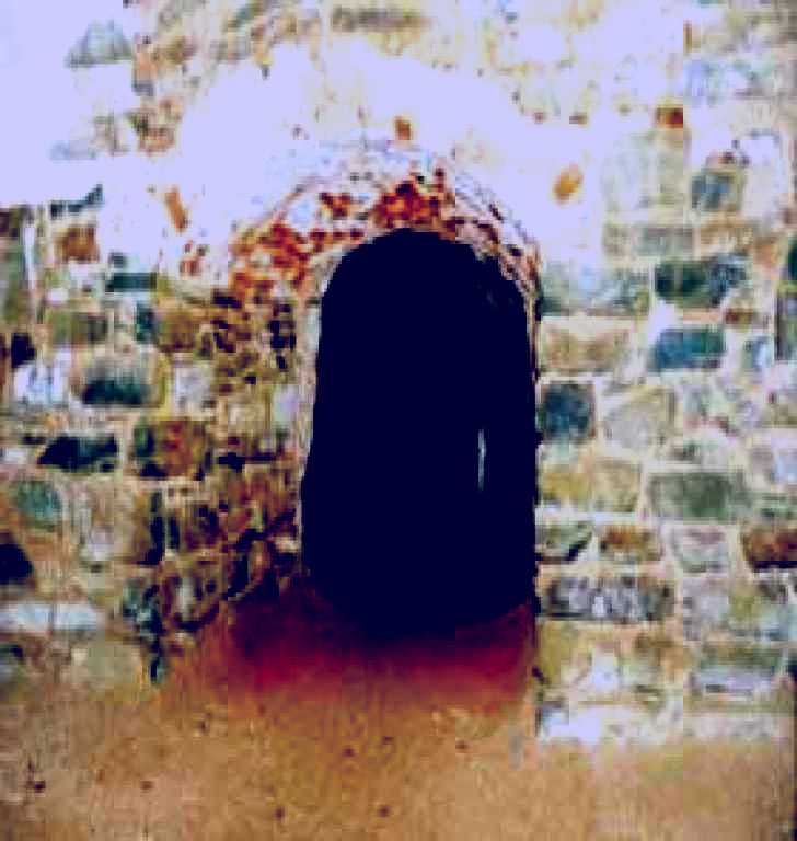 SubjectCoach | Unicorn Brewery Cellars