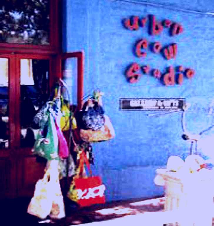 SubjectCoach | Urban Cow Studio