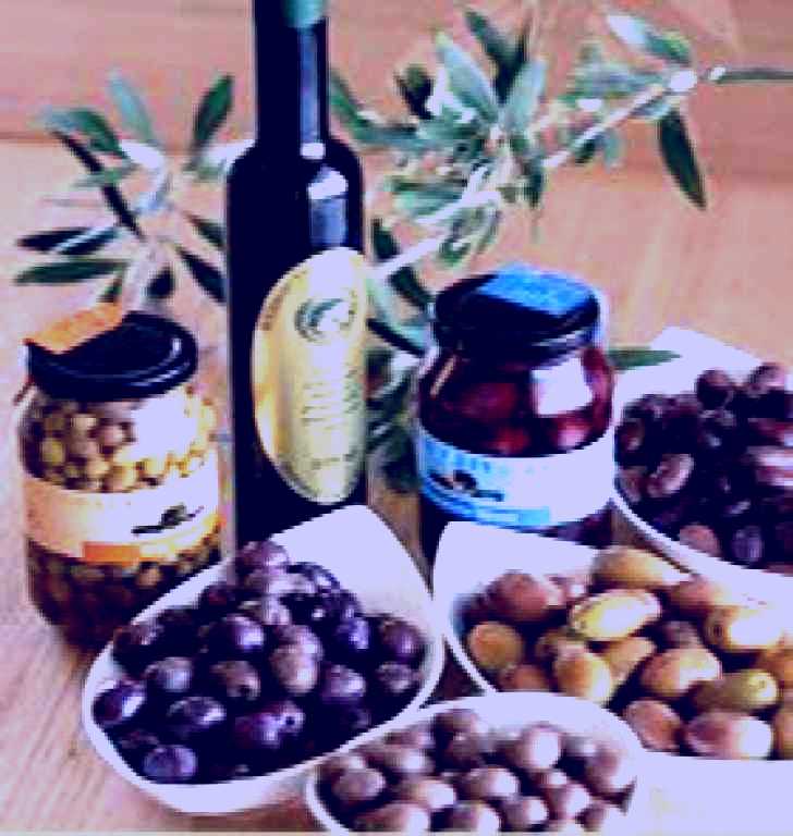 SubjectCoach | Verdale Olive Estate