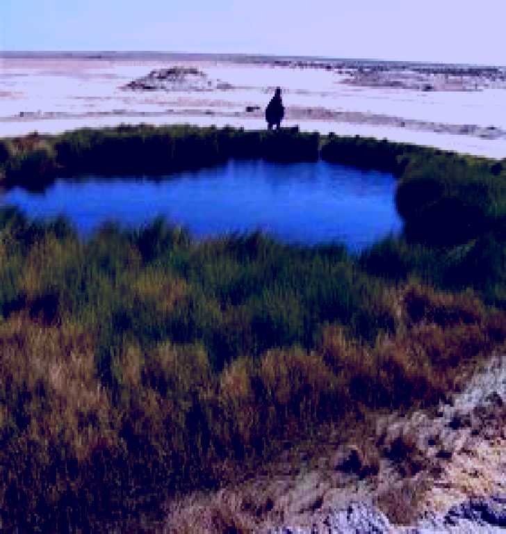 SubjectCoach | Wabma Kadarbu Mound Springs Conservation Park