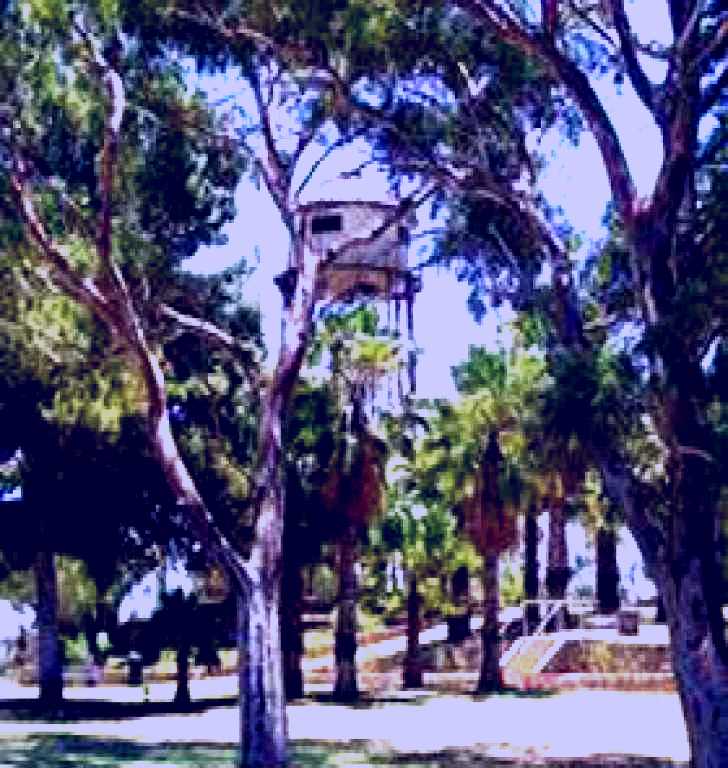 SubjectCoach | Water Tower Lookout