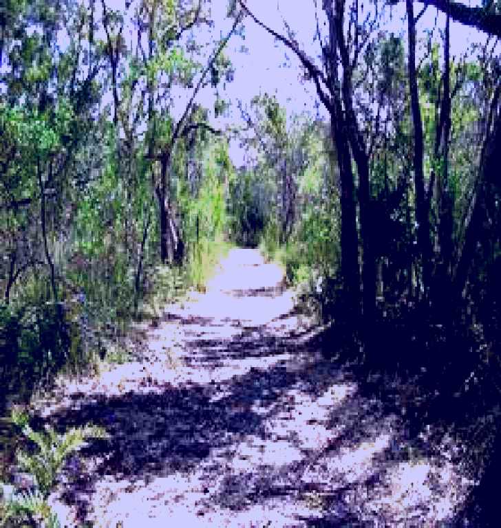 SubjectCoach | Wendy's Walk