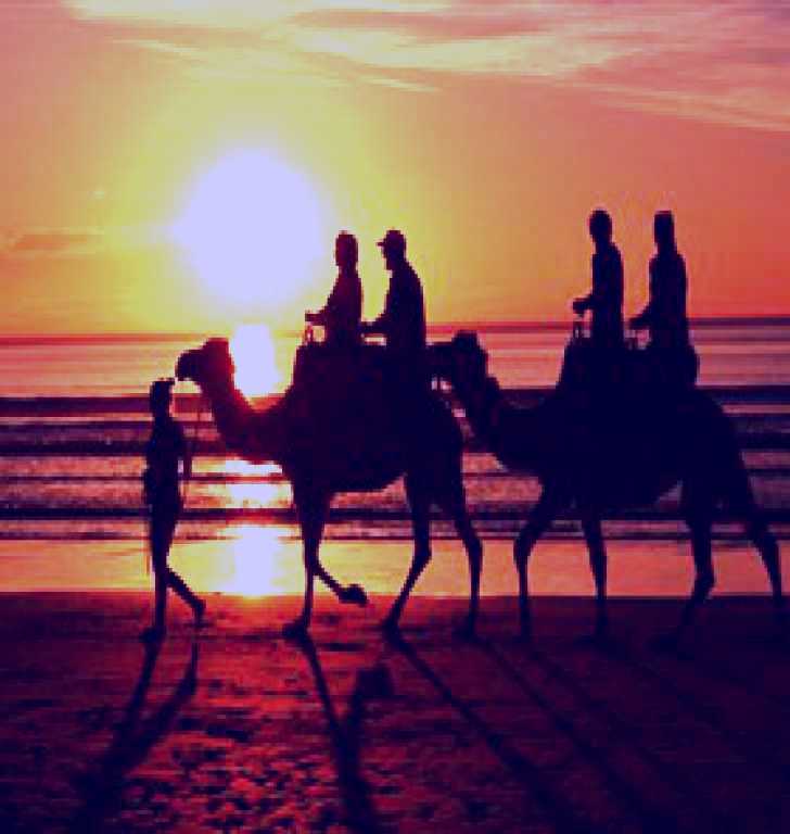 SubjectCoach | Westwood Park Services