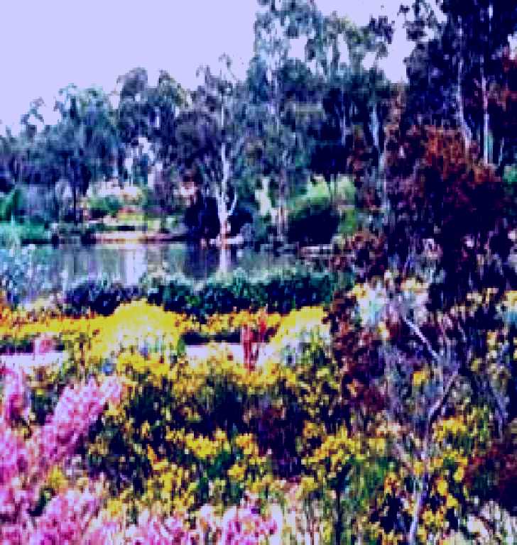 SubjectCoach | Wittunga Botanic Garden