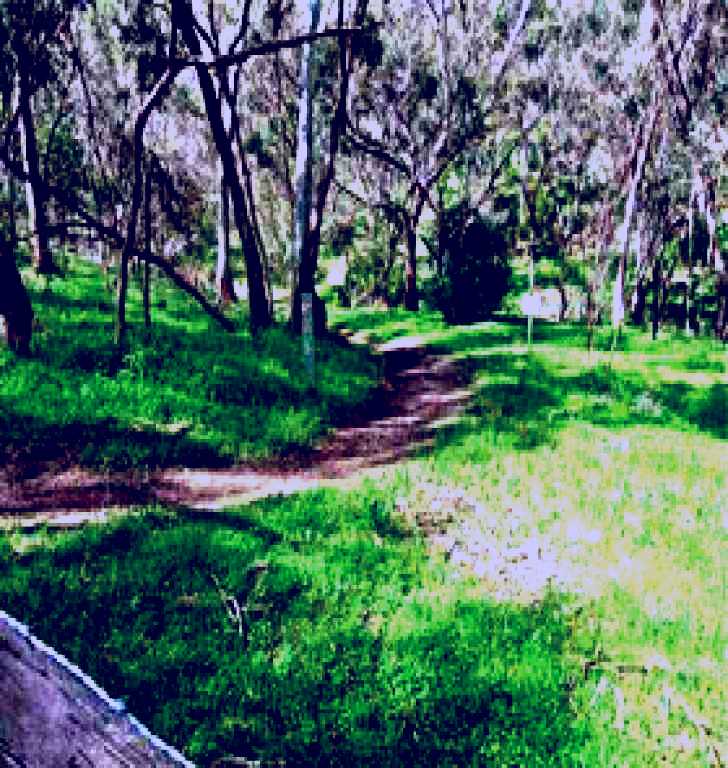 SubjectCoach | Yurrebilla Trail