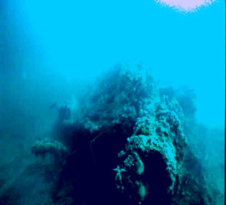 SubjectCoach | Zanoni Shipwreck