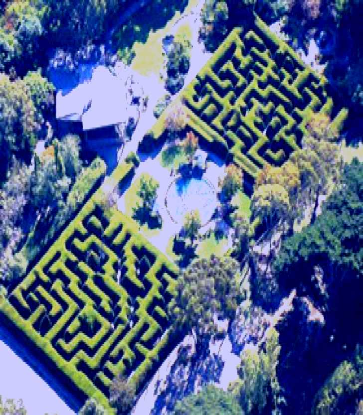 SubjectCoach | Ashcombe Maze & Lavender Gardens