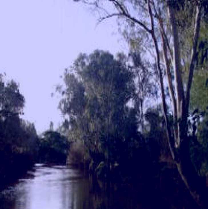 SubjectCoach | Banksia Park