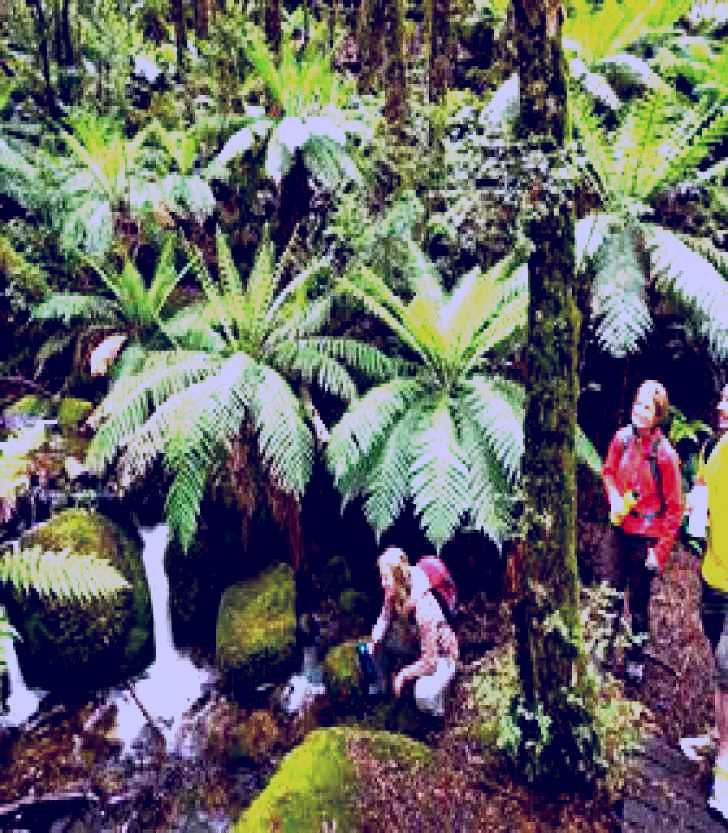 SubjectCoach | Baw Baw National Park