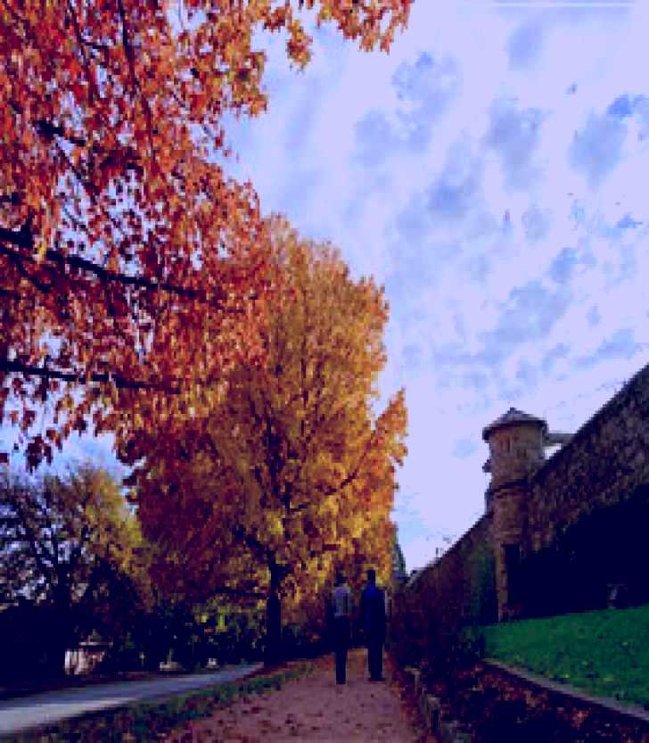 SubjectCoach | Beechworth Historic and Cultural Precinct