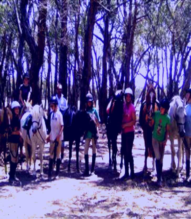 SubjectCoach | Bellarine Horse Riding Centre