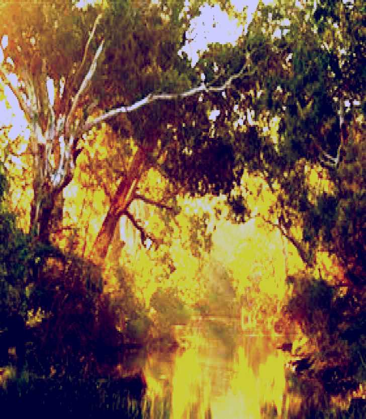 SubjectCoach | Brimbank Park