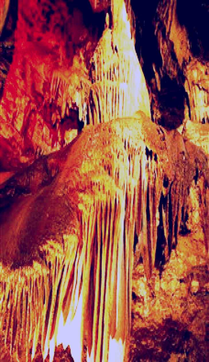 SubjectCoach | Buchan Caves Reserve