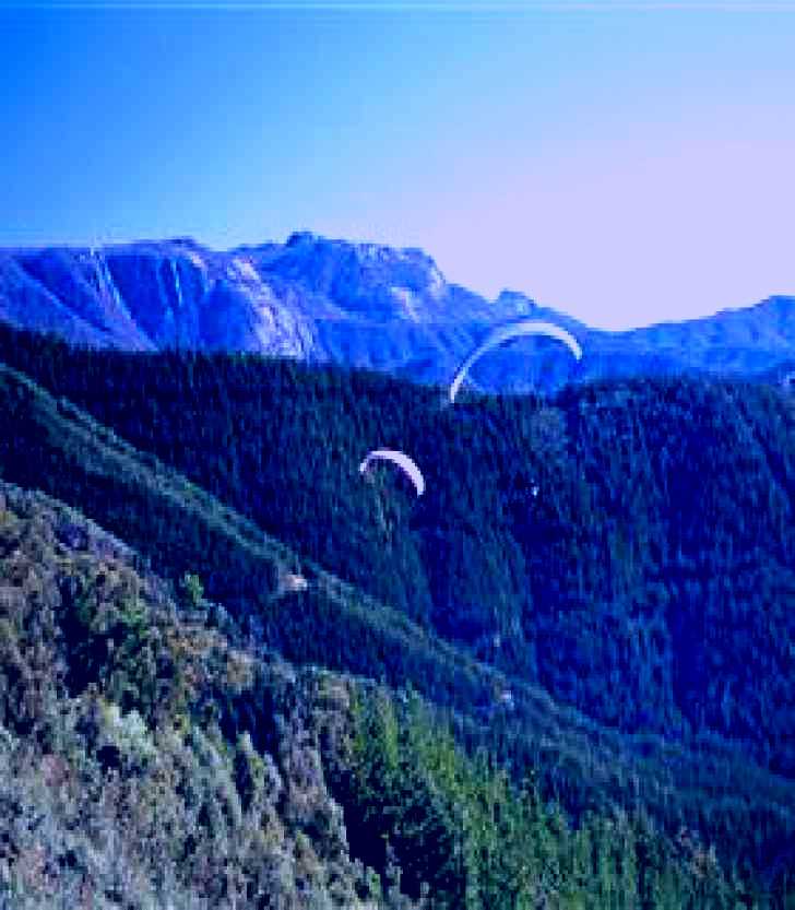 SubjectCoach | Buffalo Brewery