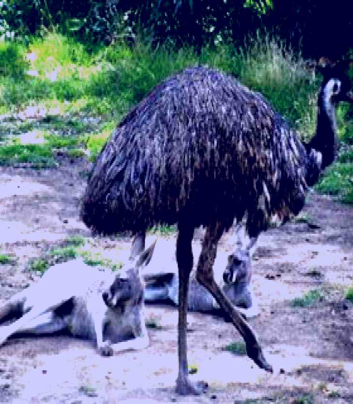 SubjectCoach | Bundoora Park