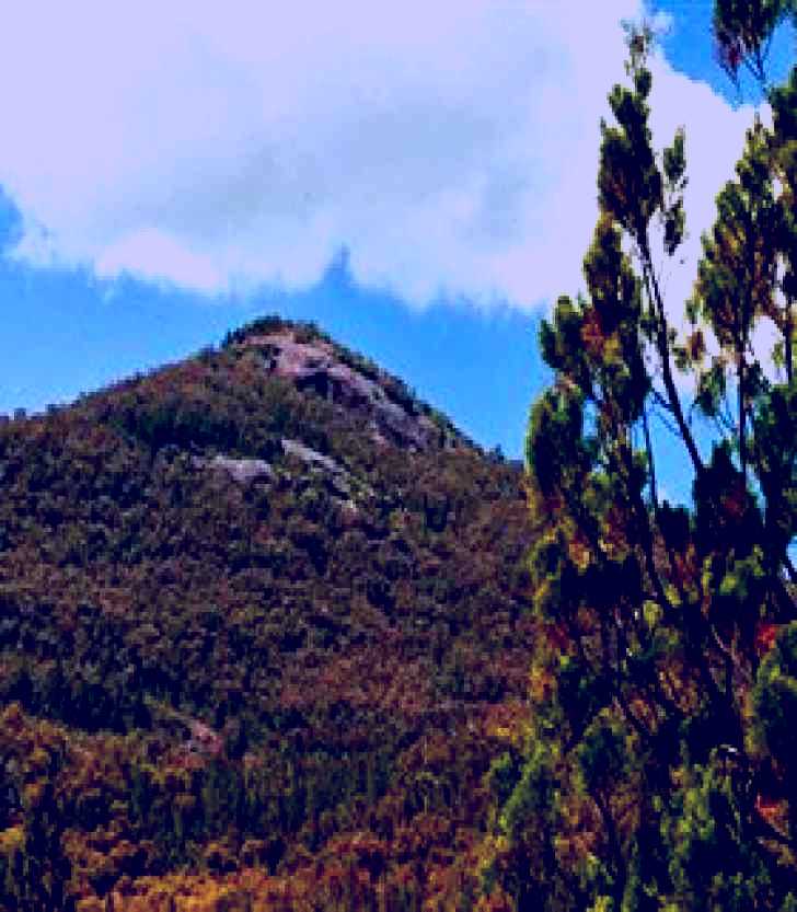 SubjectCoach | Burrowa-Pine Mountain National Park