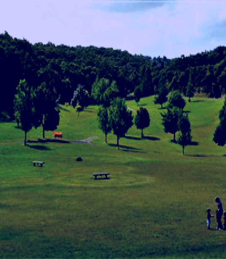 SubjectCoach | Cardinia Reservoir Park