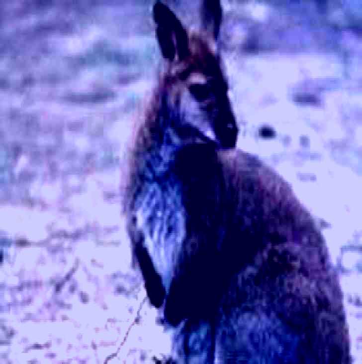 SubjectCoach | Churchill National Park