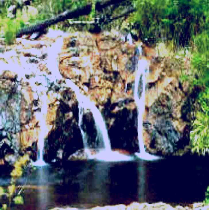 SubjectCoach | Coopracambra National Park