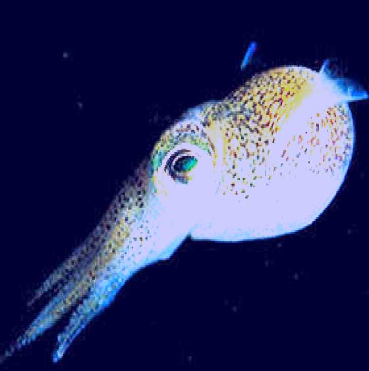 SubjectCoach | Corner Inlet Marine National Park