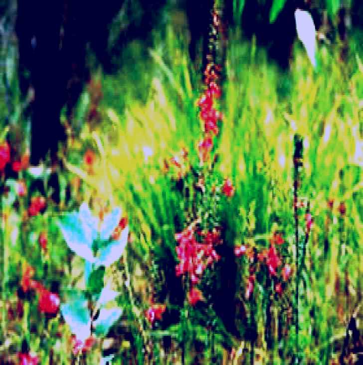 SubjectCoach | Enfield State Park