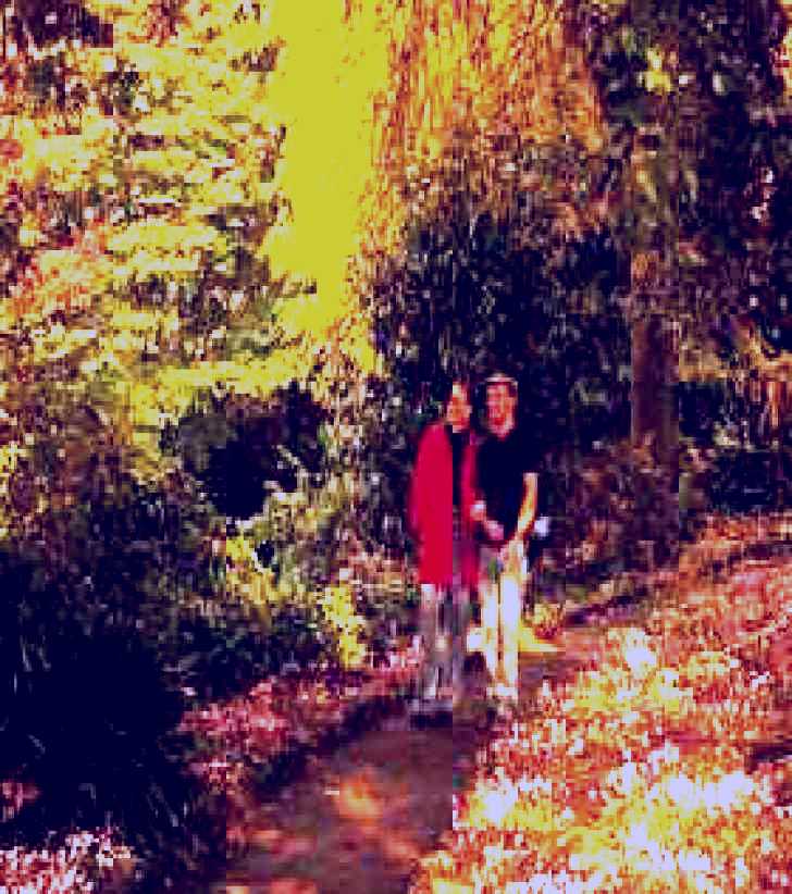 SubjectCoach | George Tindale Memorial Gardens