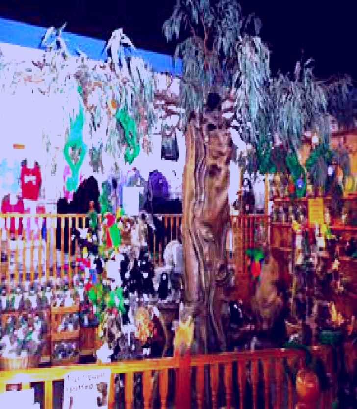 SubjectCoach | Halls Gap Newsagency and Gifts