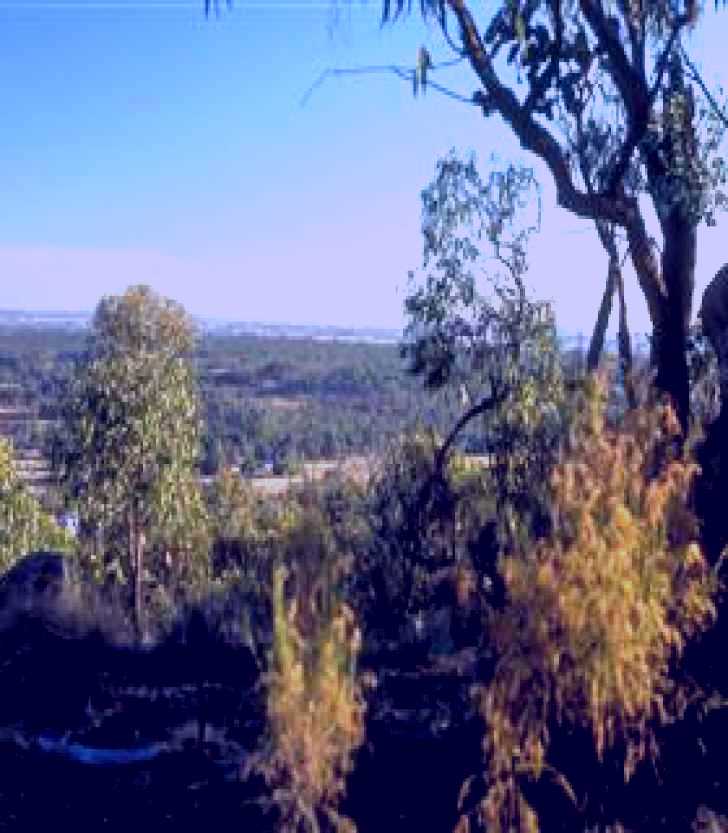 SubjectCoach | Heathcote-Graytown National Park